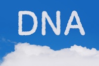DNAƈ`q͂ǂႤH